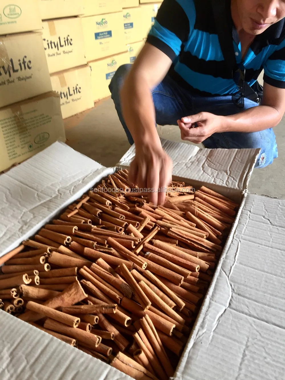 
Vietnam Cassia Stick Cinnamon Stick for wholesale Whatsapp +84 934 449 569 