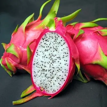Wholesale Best Quality Fresh Dragon Fruit For Sale In Cheap Price