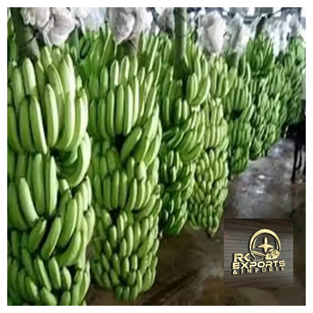 Fresh Cavendish Banana Exporters In India at 13 kg Cartons wholesale supplier and exporter from india tamilnadu  +919786060004