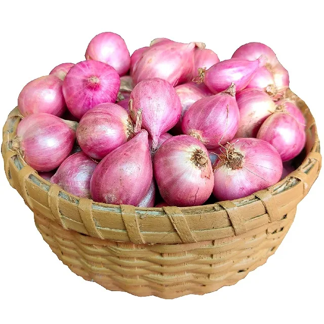 Vegetable SMALL ONION Organic Factory Supply Fresh Crops Fresh Green Vegetable for export for sale