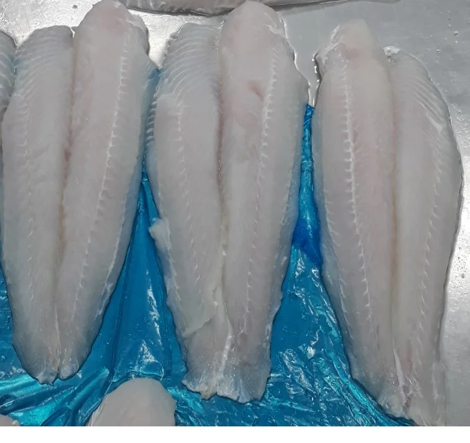 Nutritious Frozen Pangasius fillet/ Pangasius Bocourti fillet/ Basa fish fillet with Good Price