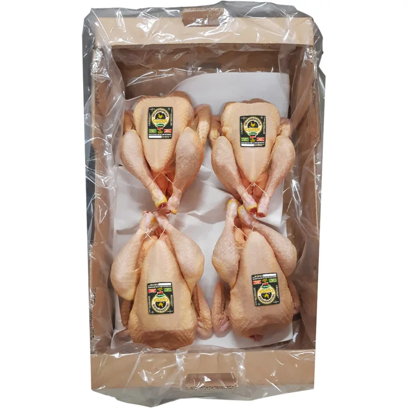 Top quality made in italy ready to ship poultry meat fresh whole free range chicken