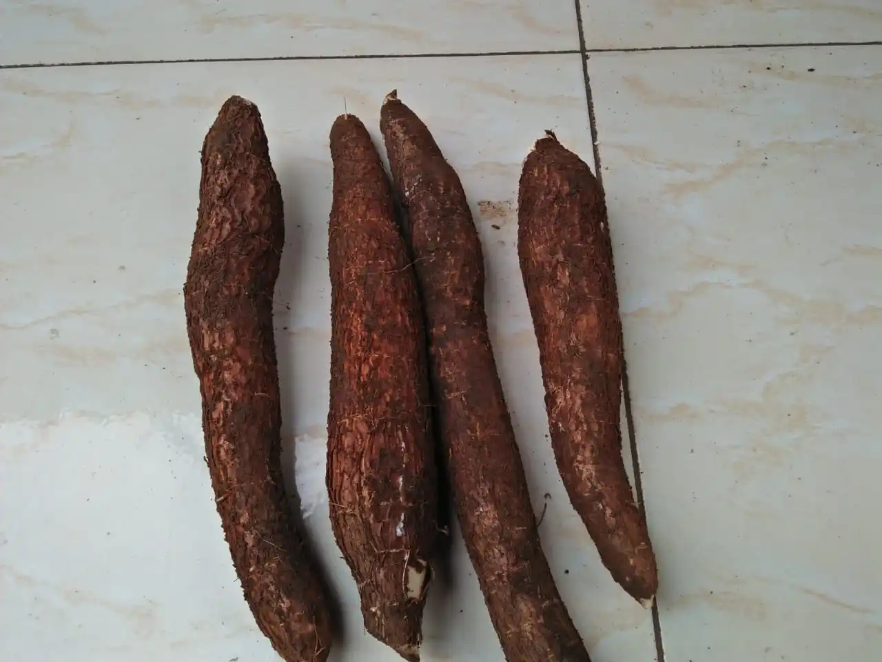 Tapioca / Cassava Root 1kg