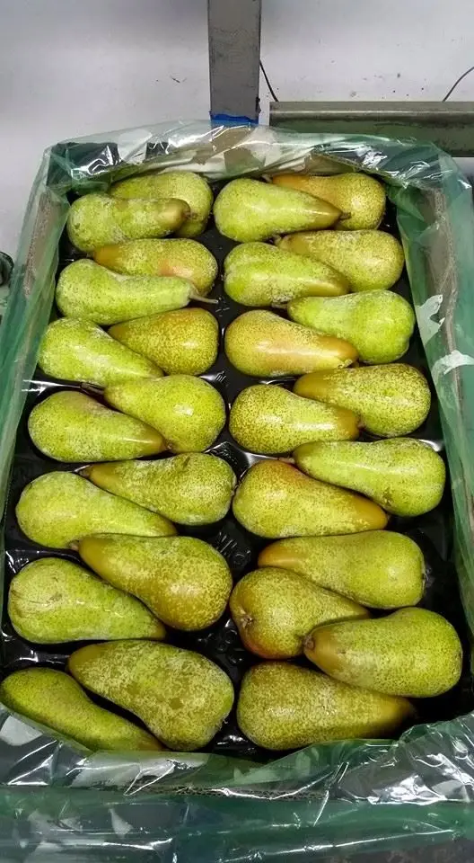 Fresh Pears