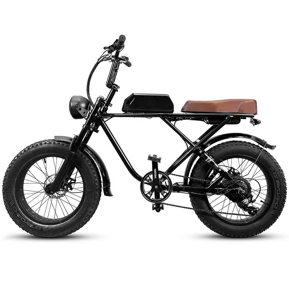 High Quality Custom 500W Motor Dirt Tire Style Off Road Ebike Vintage Beach Electric Bike