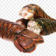 Hot sales Live European Lobsters