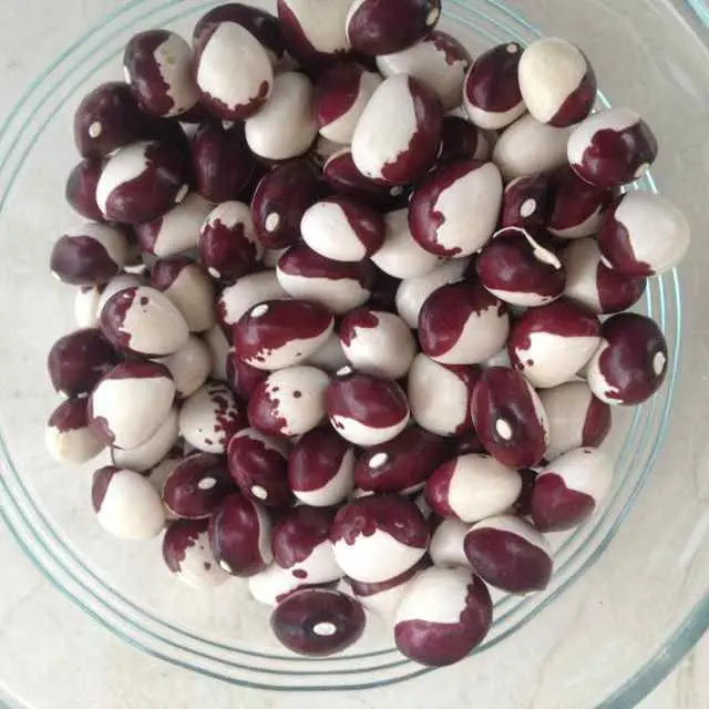 White Kidney Beans