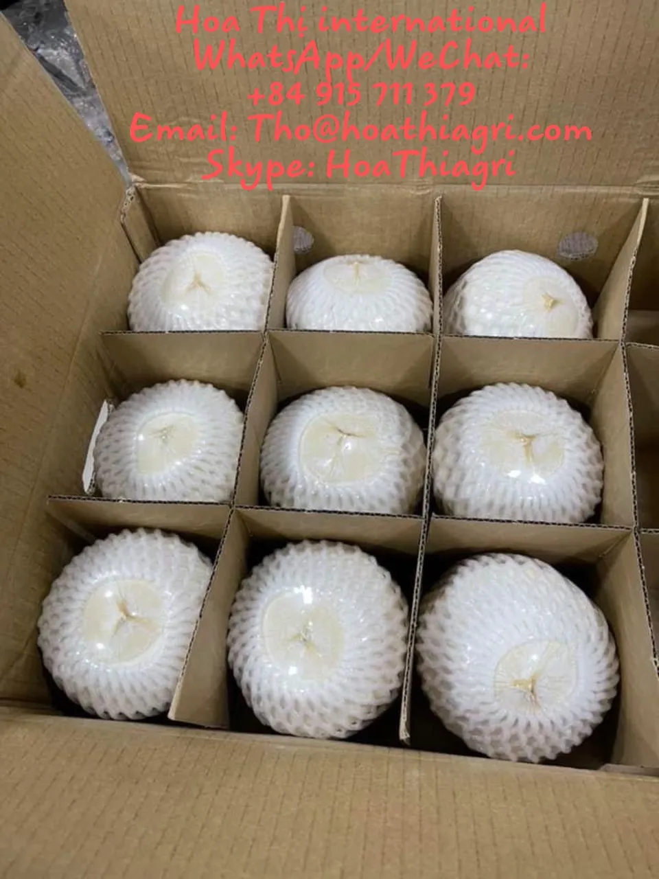 Свежий молодой кокос высокого качества по конкурентоспособной цене для экспорта, готов к отправке, Европейский азиатский рынок