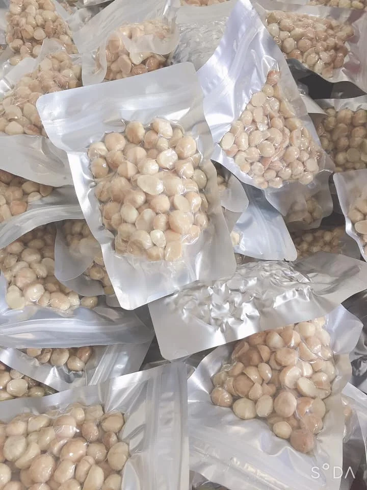 
High Quality Wholesale Raw Dried Macadamia Nuts with Nutritional Value With Factory Price 