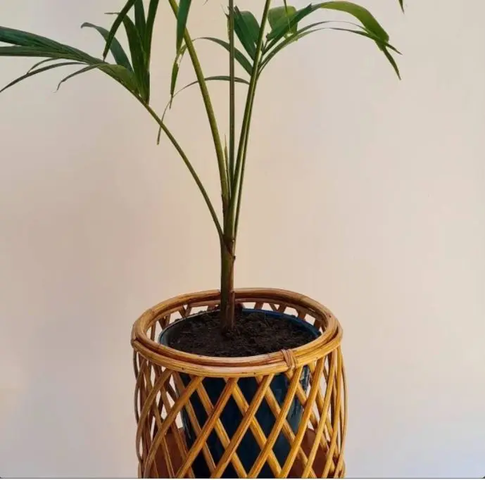 Лидер продаж бамбуковая подставка для растений деревянная цветов дома и улицы