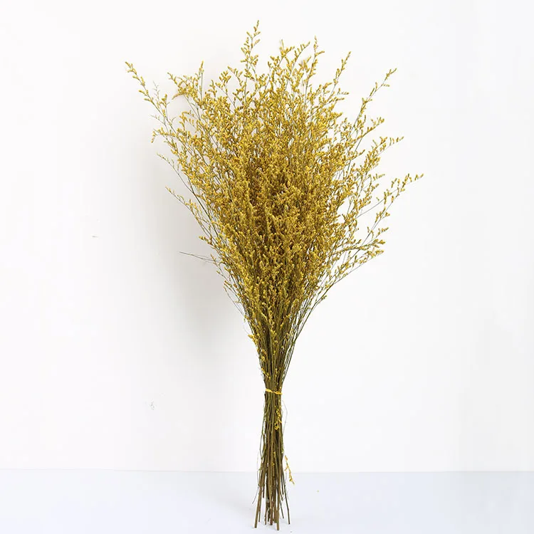 Ins style Limonium latifolium preserved  valentines grass for home and Decoration