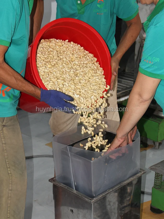 BEST PRICE FOR RAW PRODUCT WW240, W320 - BROKEN PIECES CASHEW NUTS WS/LP/SP/BB FROM VIETNAM WITH HIGH QUALITY