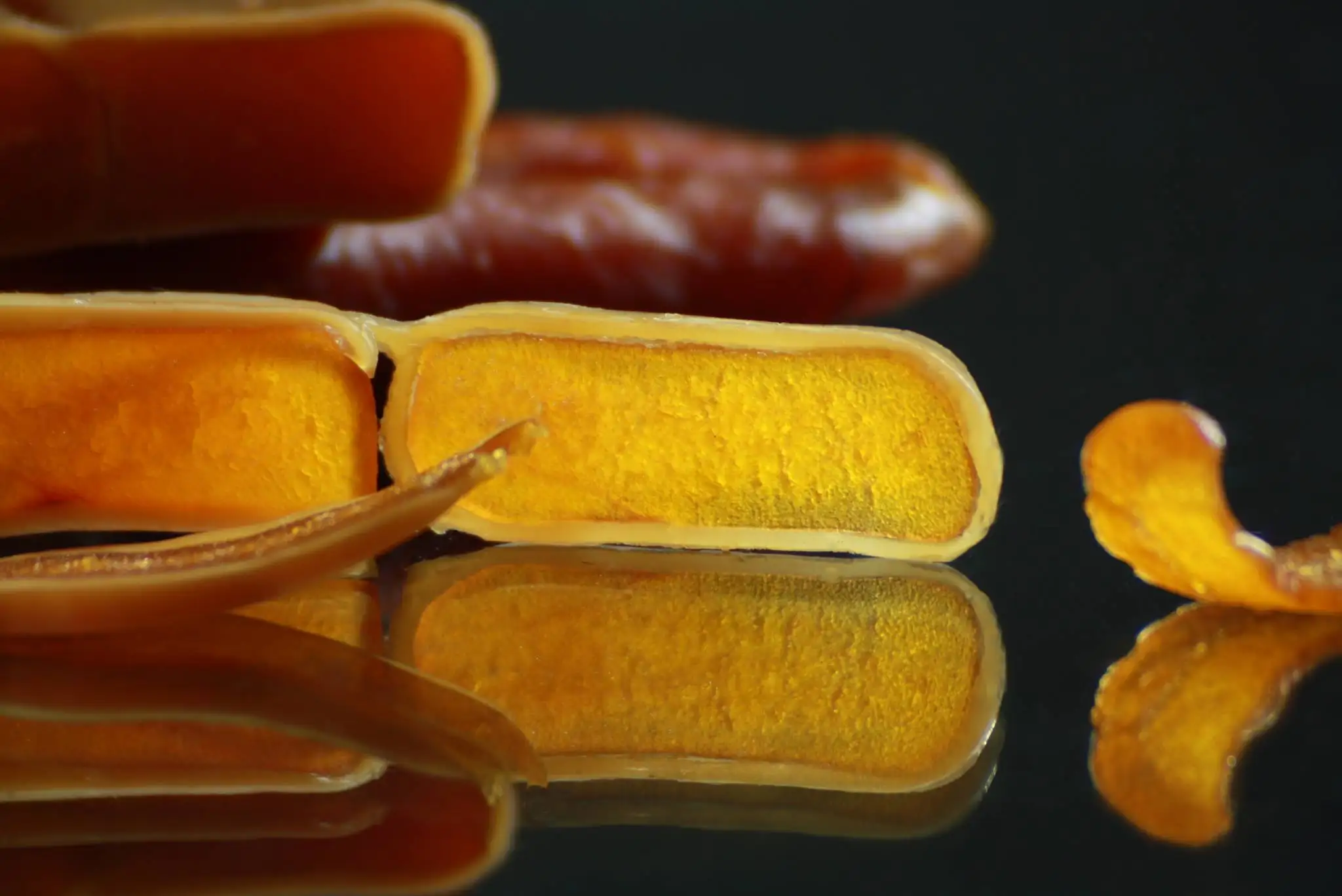 Сушеные икры mullet Bottarga