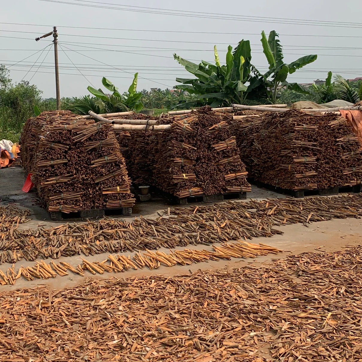 Вьетнамский Анисин, оригинал 2021