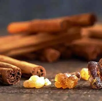 Bulk Lemon Rich Rose Essential oils Clove cinnamon turmeric Eucalyptus Cedar Wood Khus Rose Saffron Vanilla Ylang Ylang Jasmin