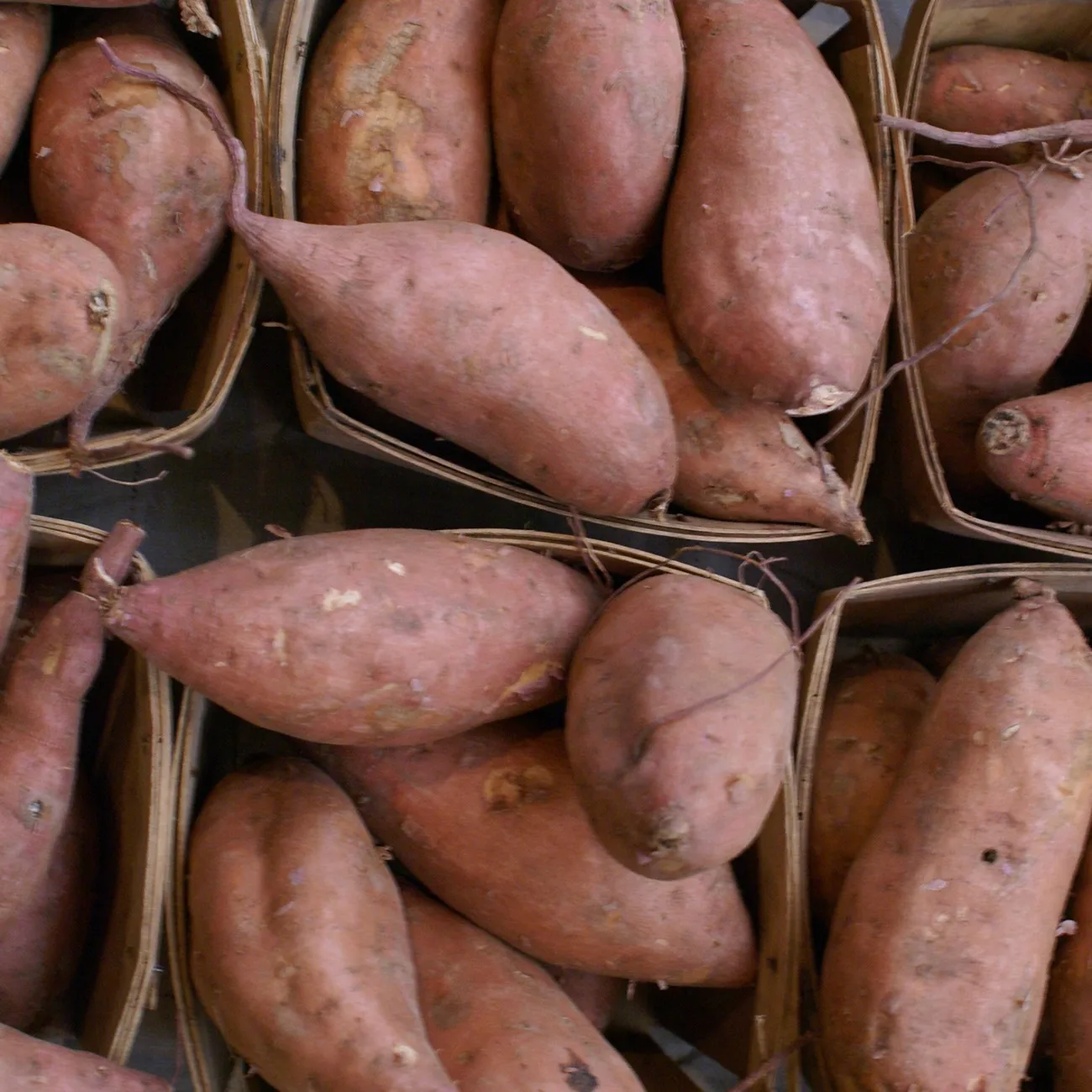 Свежий сладкий картофель-растительный суккулентный аромат определенного типа