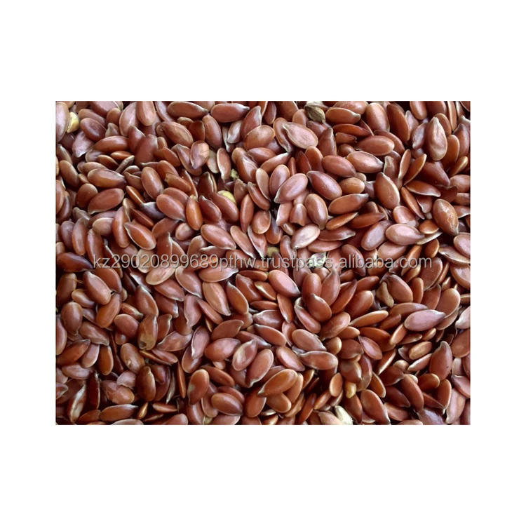 Premium class flax seeds natural for the production of linseed oil and cake wholesale low price flax seed