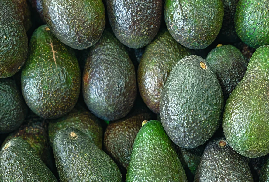 Свежий Африканский