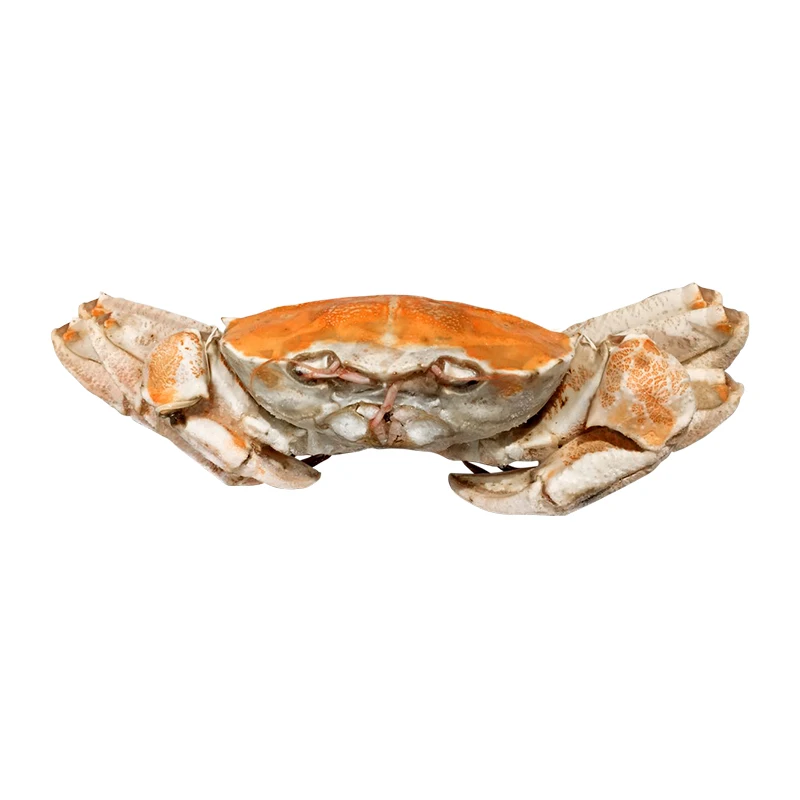 Mozambique Crab
