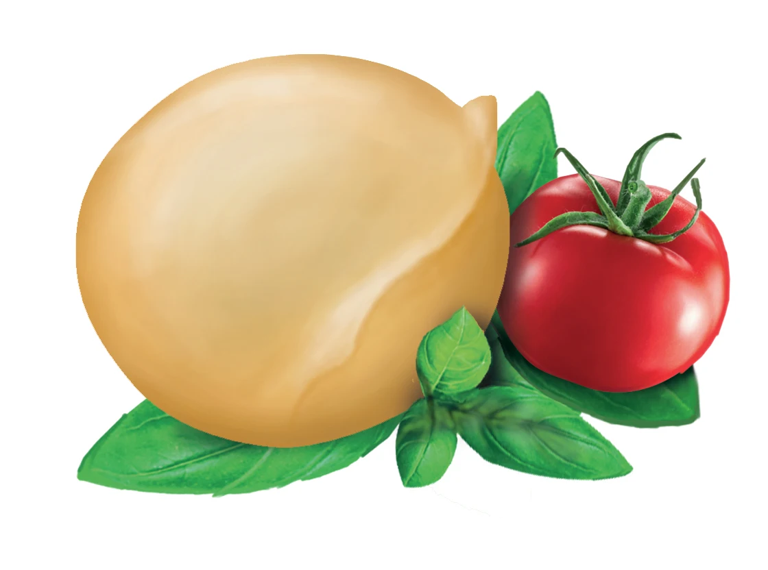 High quality Italian fresh cheese Smoked Mozzarella di Latte di Bufala Campana bucket 250g