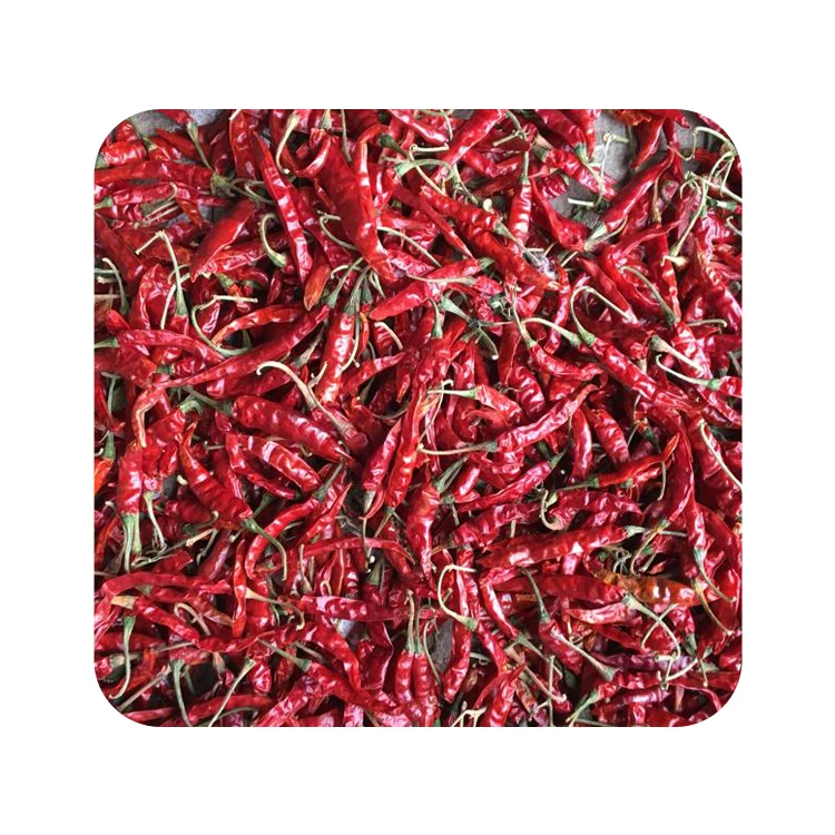 Горячий и острый сушеный чили/Teja сухой красный чили с стеблом