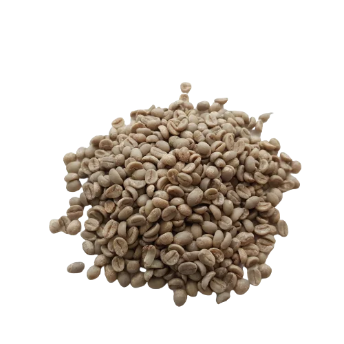 High Quality Green Coffee Beans Vietnam Green Beans Coffee Coffee Beans Arabica Roasted