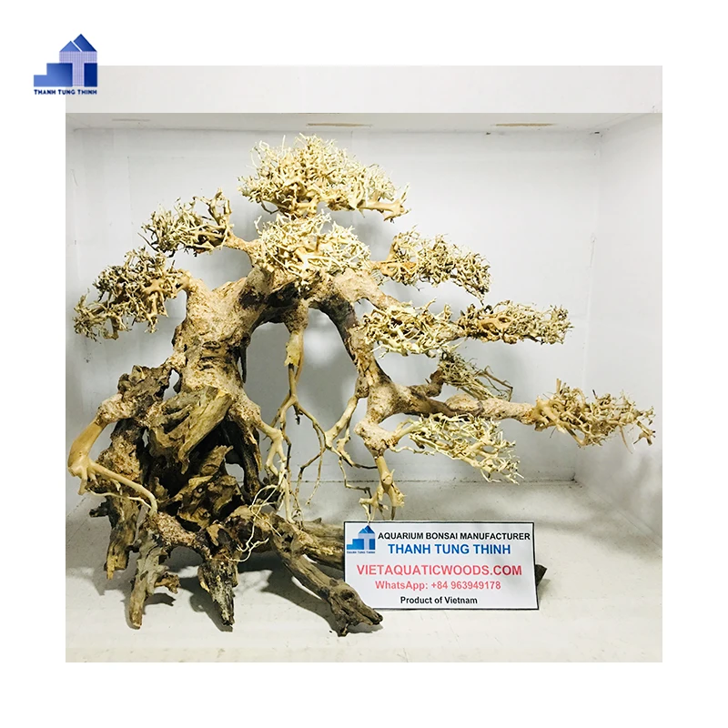 Высокопоставленная древесина коряги бонсай оптовая продажа аксессуары для украшения аквариума WhatsApp + 84 961005832