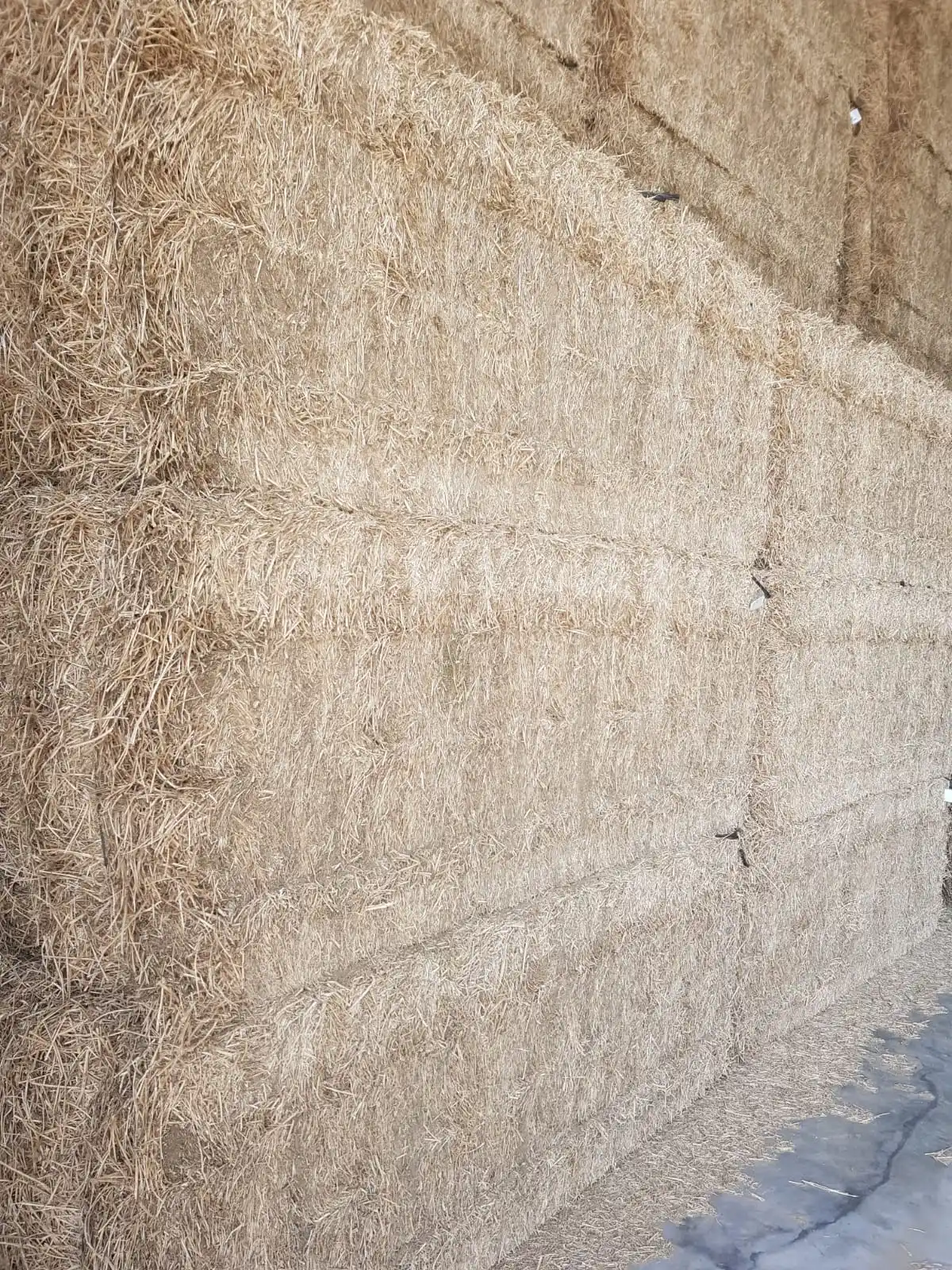 Wheat straw in big bales for animal