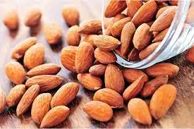 Raw Nutrition Organic Almond Nuts