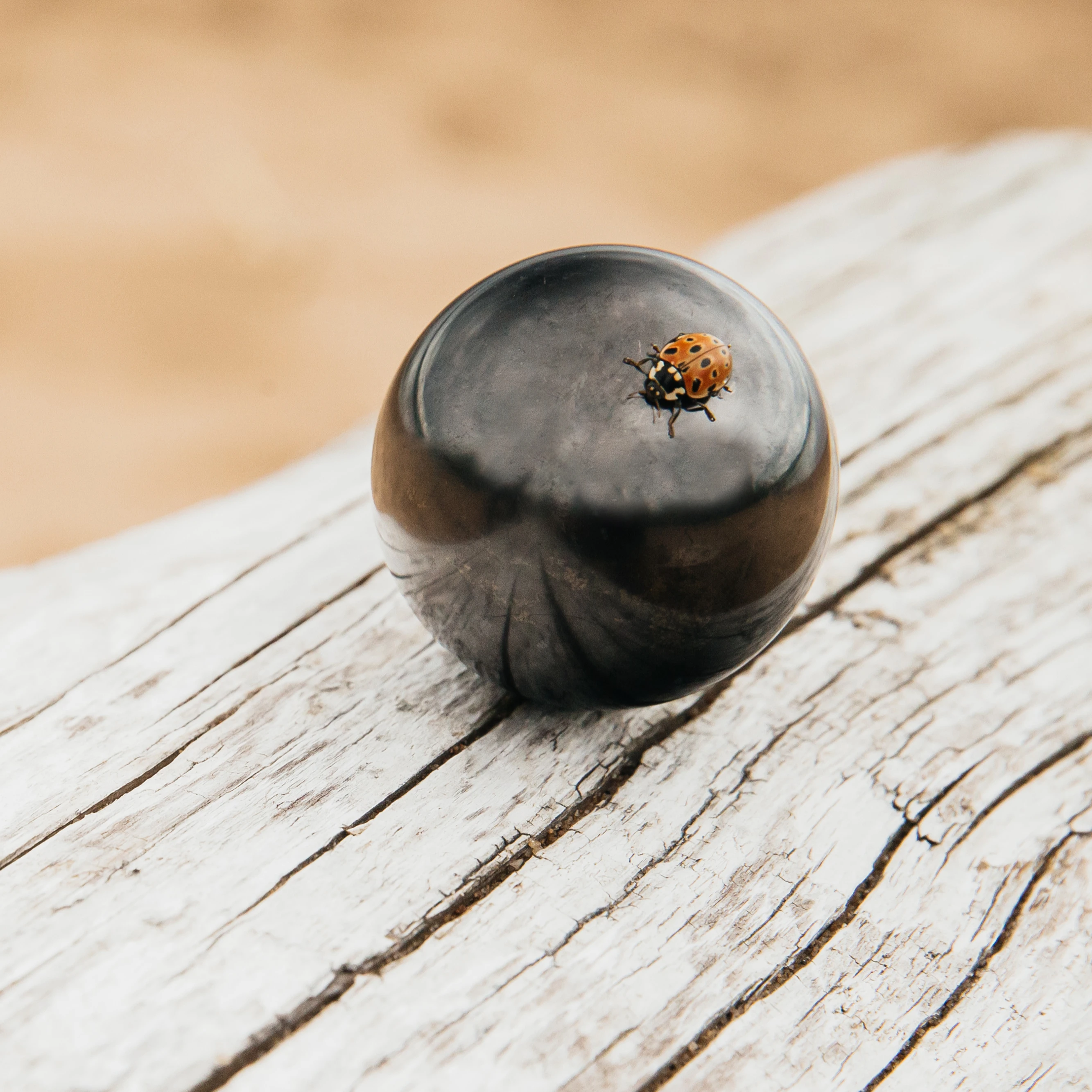 Shungite sphere, 7cm, immune defense, business & promotional gifts, therapeutic, gesundheit, health stone +wellbeing