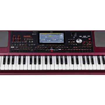 2021 Original Korg pa 1000 61 keys Professional Arranger