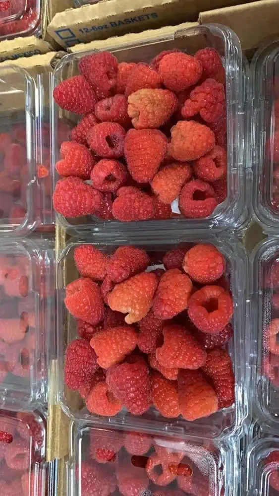
High Quality Fresh Raspberries 