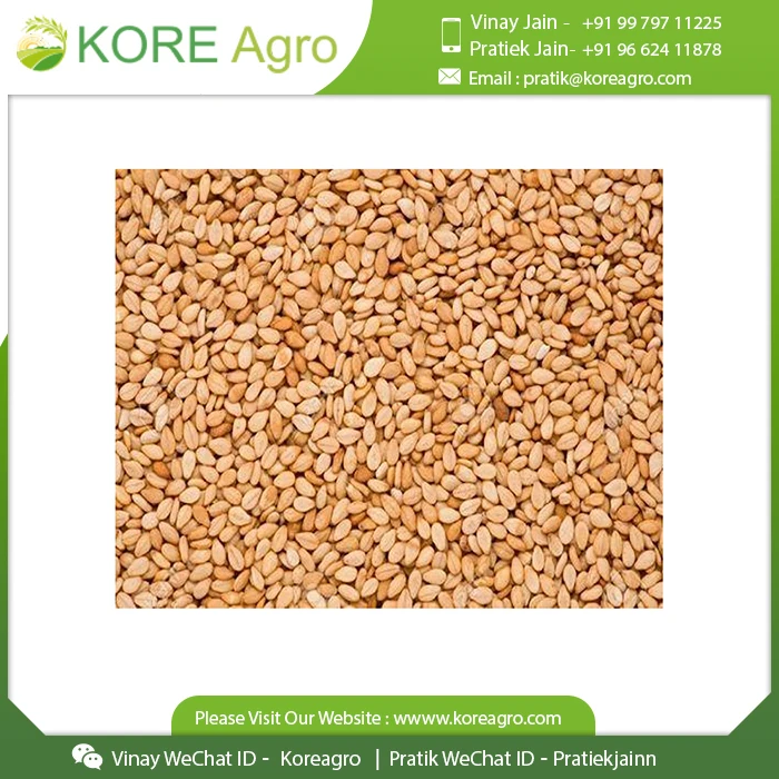 Organic Sesame Roasted For Wholesale Buyers Buy at Low Price
