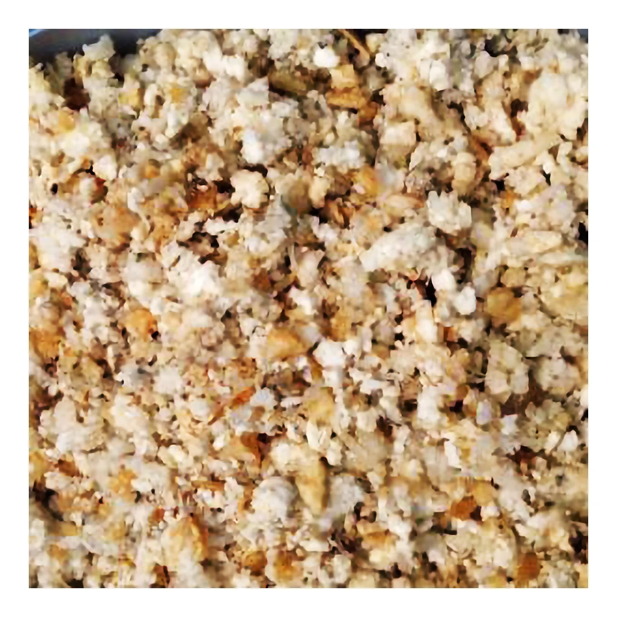 Cheap Granule Raw Material Dry Nitrile Virgin Malaysia