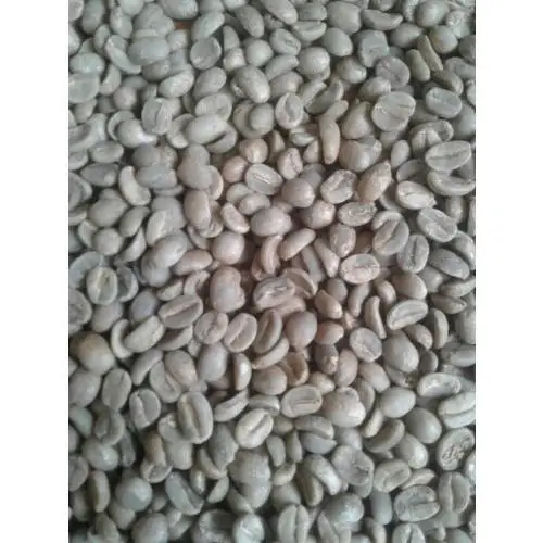  High quality Raw Arabica coffee Beans