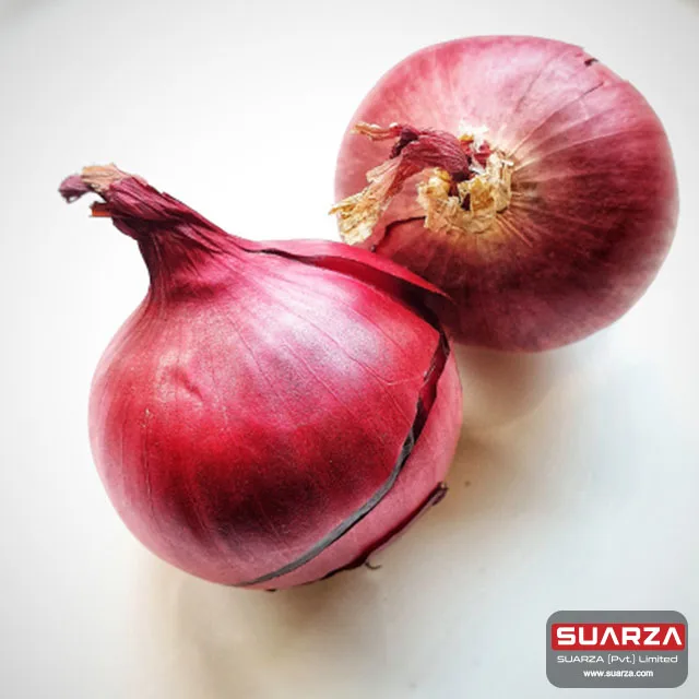 Seasonal   Red shallot Onion for Dubai market/ best quality cheap price onion /   Red Onion Exporter
