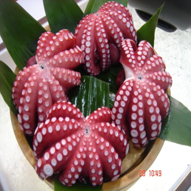 
Frozen Baby Octopus/Baby Octopus in Viet Nam- good quality 