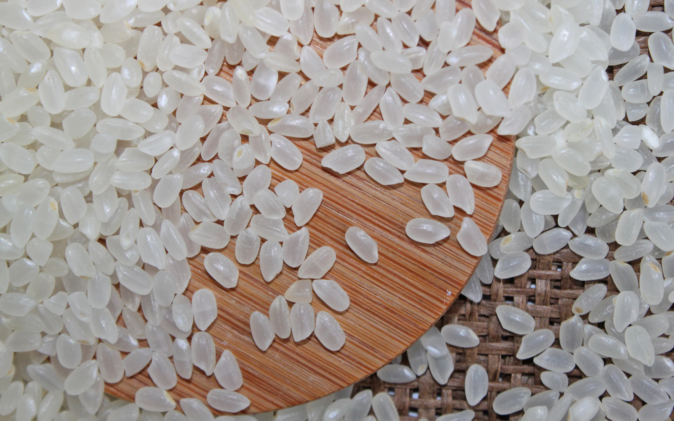 Белый японский рис среднего размера Wholegrain/рис Calrose/вьетнамский поставщик белого риса