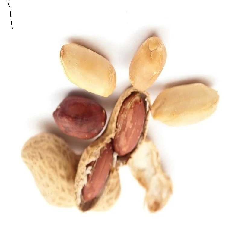 Peanut :what do peanuts do to females effects