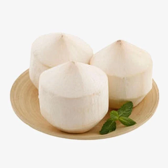Fresh Super Delicious Taste Premium Quality Coconut - Whole Fruit Export