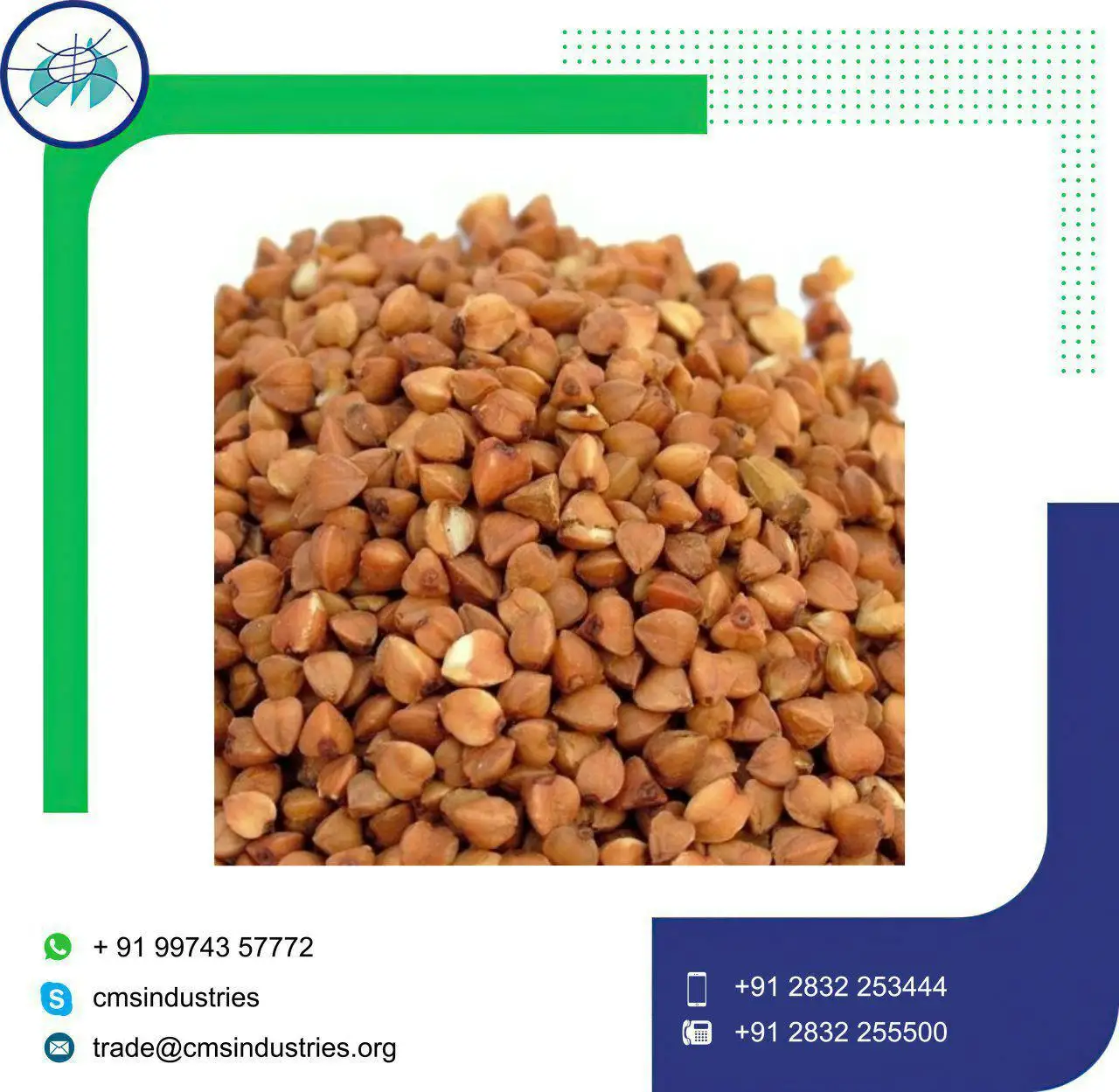 Свежие Семена Гречихи