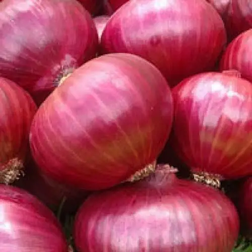 
We Sell 100% Pure Fresh Red Onions At Best Price... 