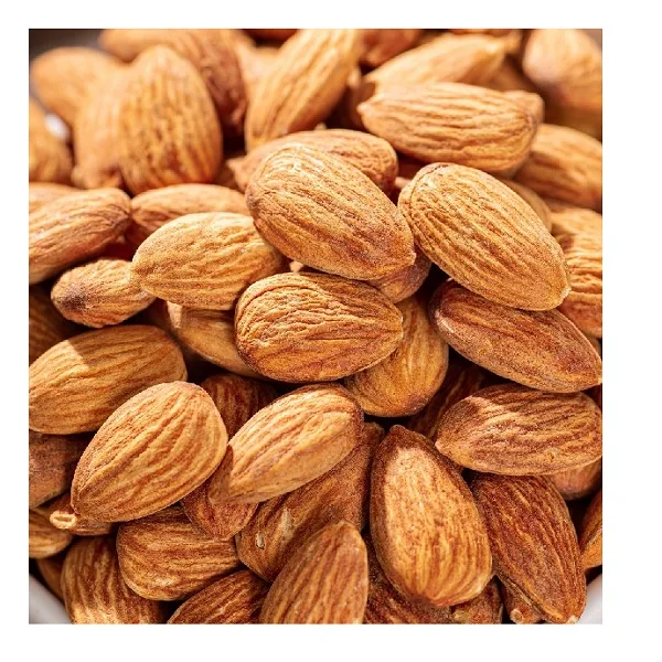 
Wholesale Bitter Apricot Kernels Bitter Almond Nuts For Sale 
