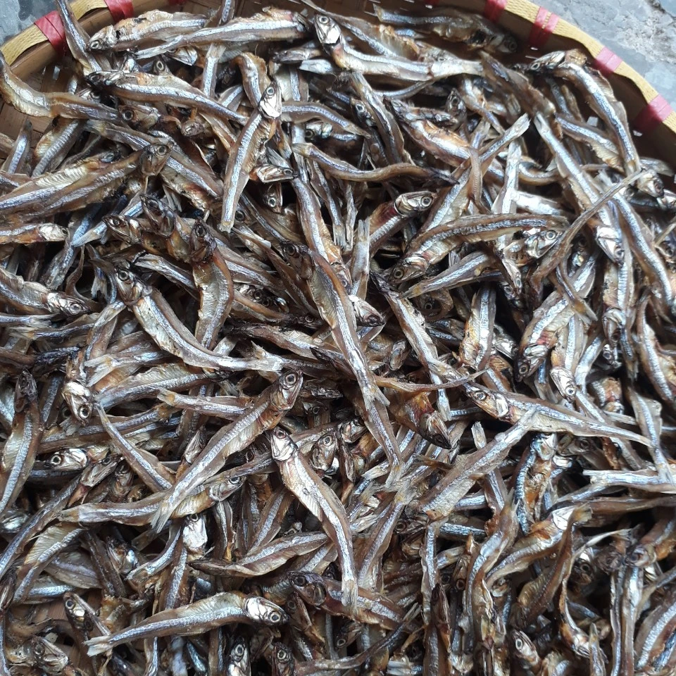 Best quality Dried anchovy by sunshine from Vietnam (Anchois) AD Process - seafood.linda(at)gmail(dot)com W/S: 0084 989 322 607
