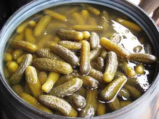 
Gherkins in 240/260 Lts Drums (Bulk) 