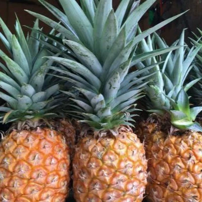  Свежий ананас MD2