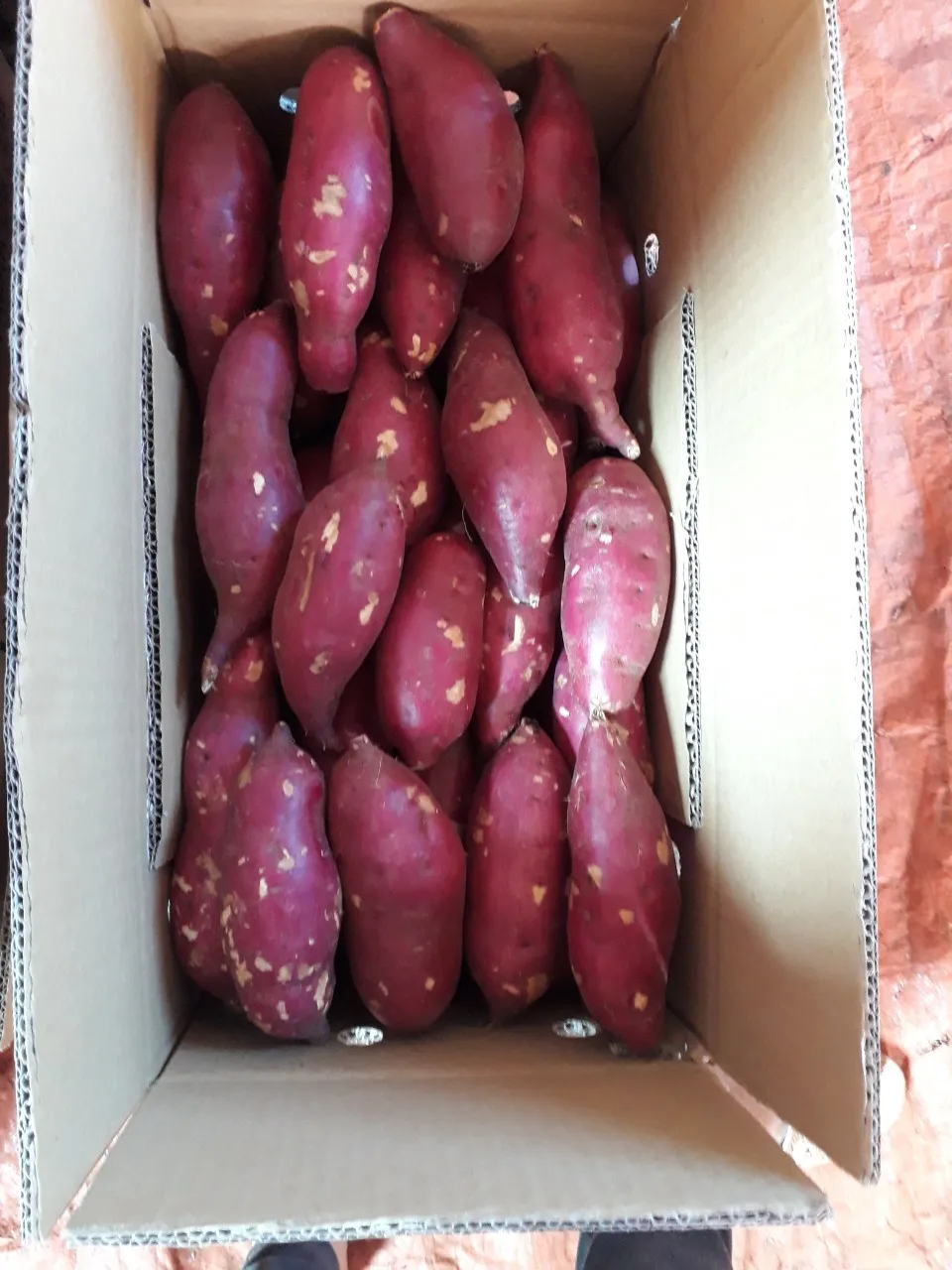 MicrosoftTeams-image (7).png