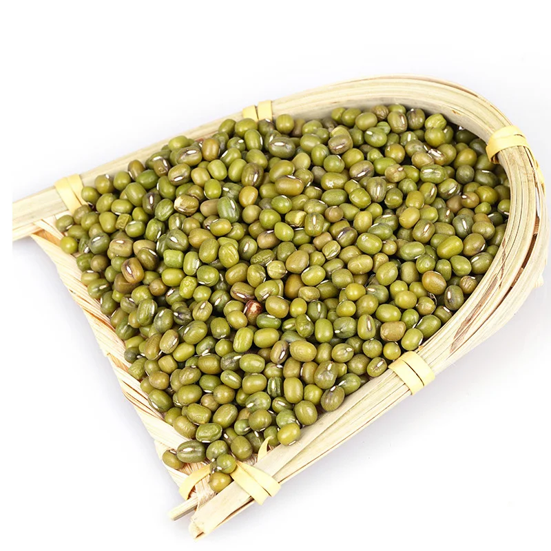 Wholesale Premium Agroculture Organic Dried Mung Bean Sprouts Mung Green Beans