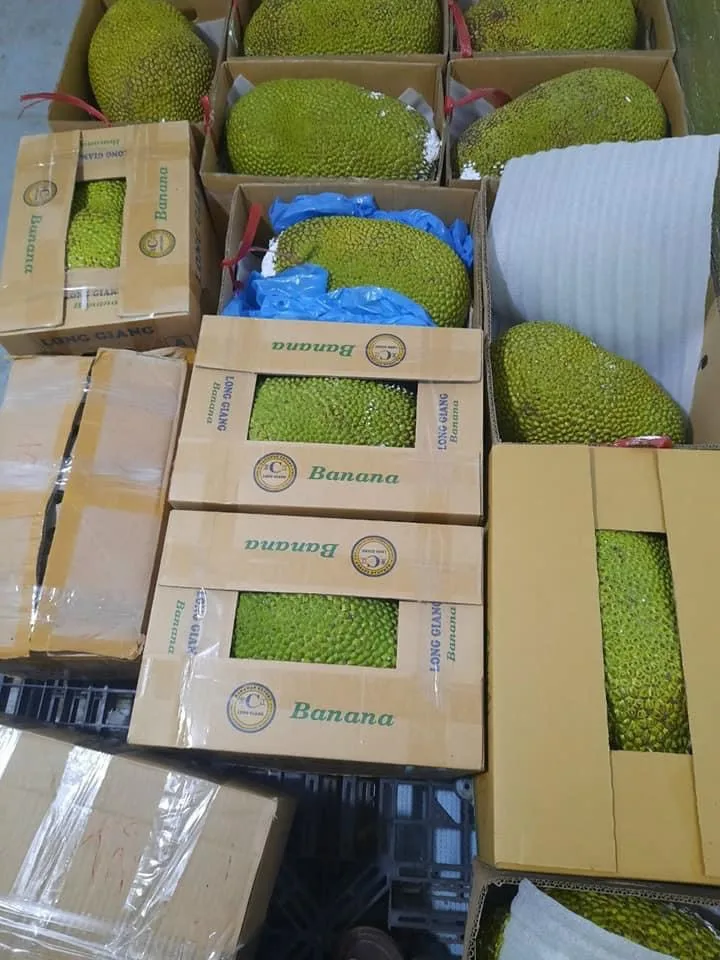 Свежие фрукты jack organic обеспечивают витамин C высшего качества для экспортного рынка