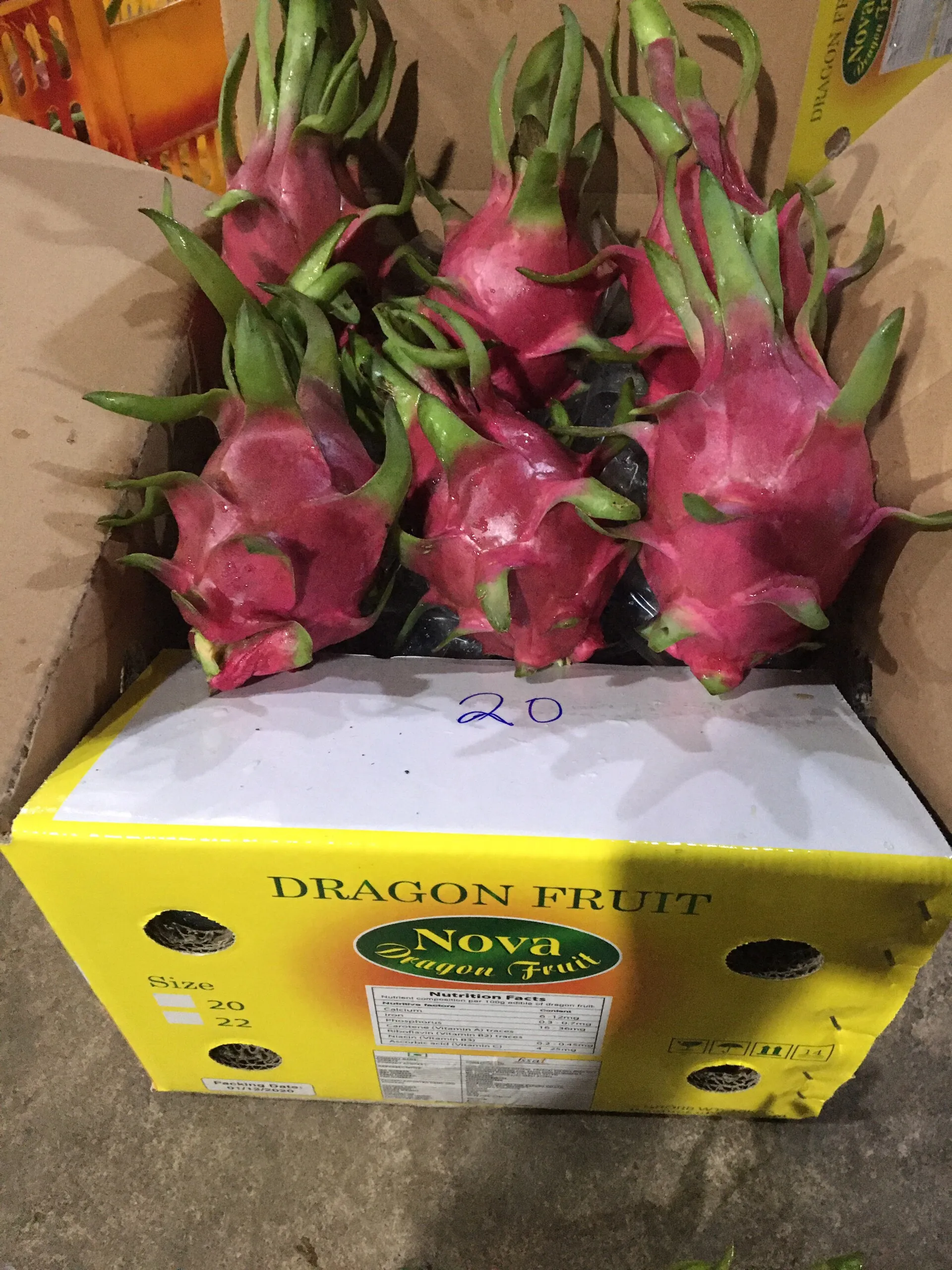 Дешевая цена Pitahaya Вьетнам/свежие фрукты дракона/оптовая продажа фруктов Pitaya Вьетнам